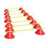 LOT DE 10 JALONS 80 CM