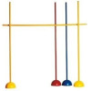 LOT DE 10 JALONS 80 CM