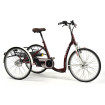 e-Tricycle Adulte - 2219E Langon ou Vintage - Vermeiren