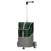 Unus Shopper Gese - Chariot de courses 2 roues - Vert - 46 L - Andersen Shopper Manufaktur