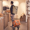 Scala Shopper Plus Mikkel - Chariot de courses 2 roues - Beige - 37 L - Andersen Shopper Manufaktur