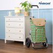Royal Shopper Eske - Chariot de courses 2 roues - Vert - 47 L - Andersen Shopper Manufaktur
