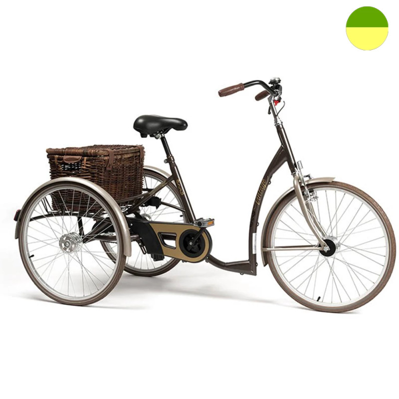 Tricycle Adulte -2219 Vintage