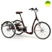 e-Tricycle Adulte - 2219E Langon ou Vintage - Vermeiren