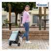 Scala Shopper Hente - Chariot de courses 2 roues - Menthe - 36 L - Andersen Shopper Manufaktur
