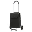Scala Shopper Jano - Chariot de courses 2 roues - Noir - 36 L - Andersen Shopper Manufaktur