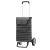 Alu Star Shopper Jelke - Chariot de courses 2 roues - Anthracite - 46 L - Andersen Shopper Manufaktur