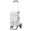 Alu Star Shopper Abbo - Chariot de courses 2 roues - Argent - 42 L - Andersen Shopper Manufaktur
