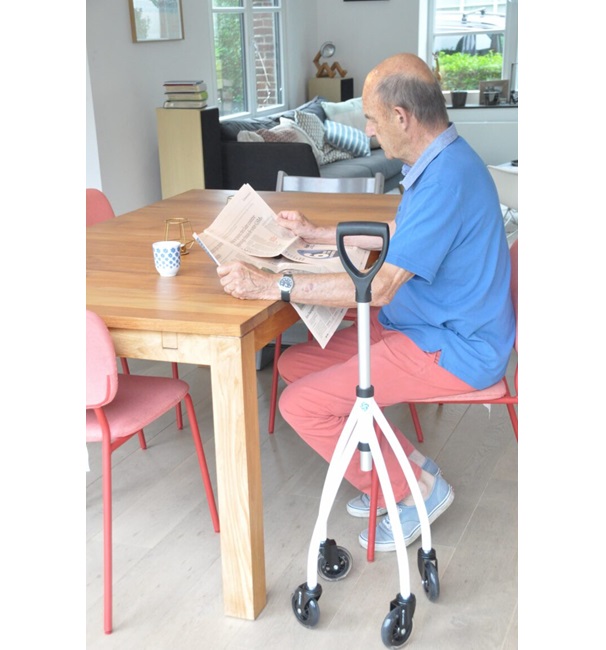 wheeleo-au-quotidien